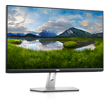 Dell S2421HN 60.96 cm (24 Inch) with IPS Panel Technology, 1920 x 1080 Resolution, Refresh Rate 75 Hz, Display Port, Silver Monitor