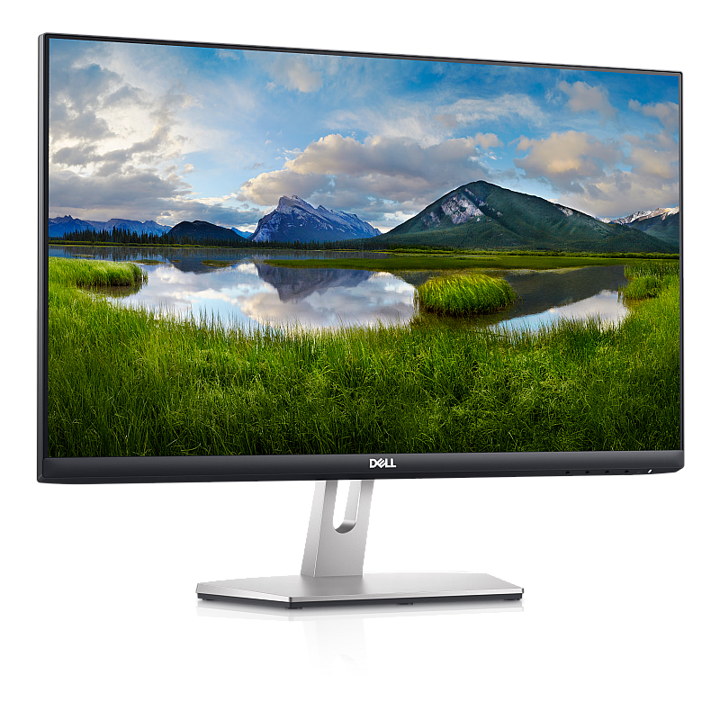 Dell S2421HN 60.96 cm (24 Inch) with IPS Panel Technology, 1920 x 1080 Resolution, Refresh Rate 75 Hz, Display Port, Silver Monitor