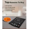 Butterfly Rapid Plus Induction Cooktop (Black, Push Button)