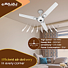 Bajaj Energon 1200Mm Bldc Ceiling Fan 5 Stars Starrated Energy Efficient Ceiling Fans For Home