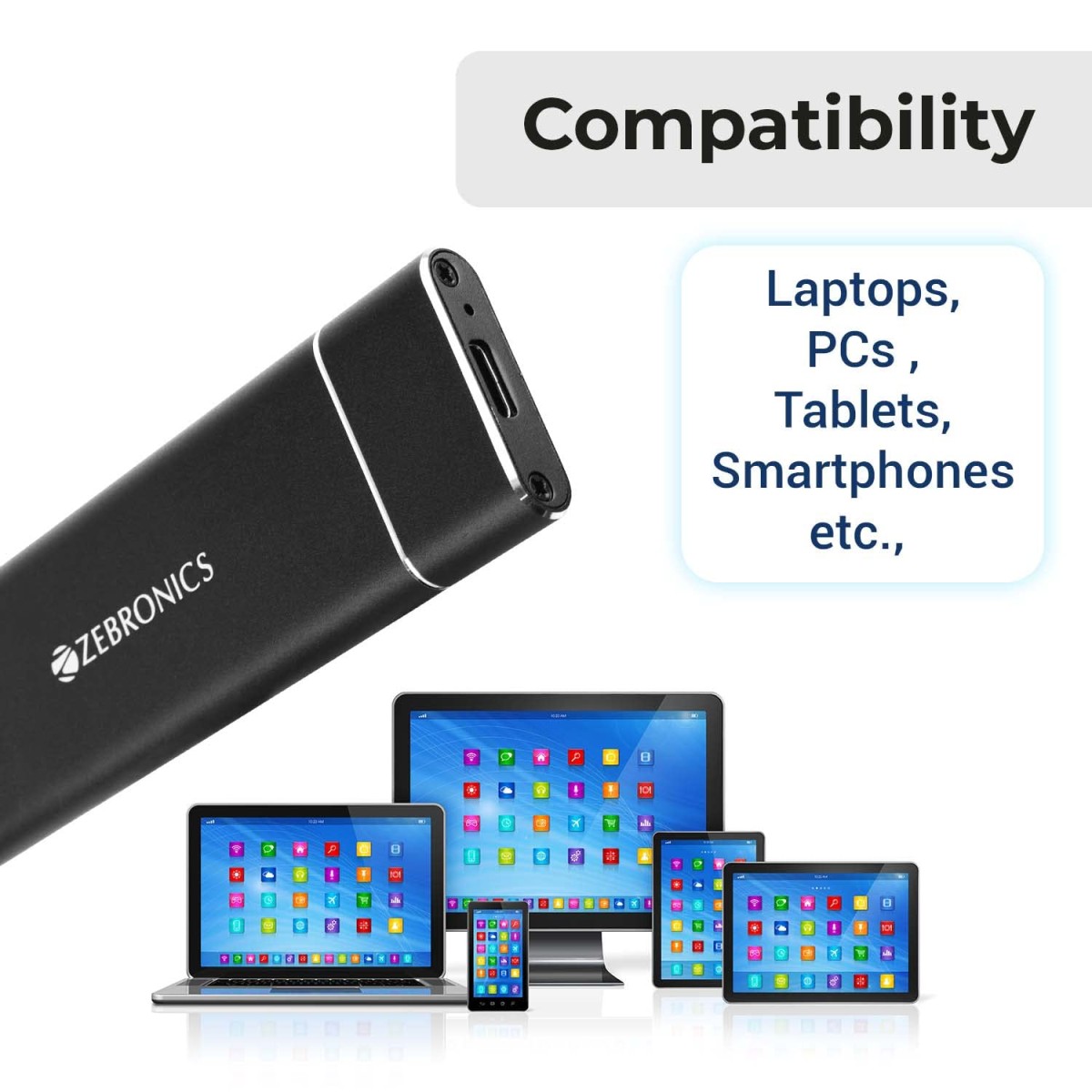 Zebronics CM01 M.2 SATA SSD Enclosure with Aluminum Case, Type-C 3.1 Gen 1, Upto 5Gbps* and Upto 2TB Max. Storage Capacity