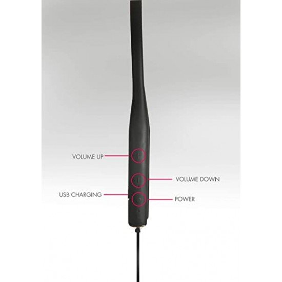 TOSHIBA RZE-BT600E Neckband Bluetooth Earphone Wireless (Black)