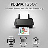 Canon Pixma TS307 Single Function Wireless Inkjet Colour Printer Black