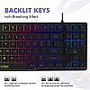 Evo Fox by Amkette  Fireblade Gaming Wired Keyboard with LED Backlit