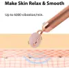 AGARO 33600 3-In-1 Electric Rose Quartz Face Roller Massager (Rose Gold)