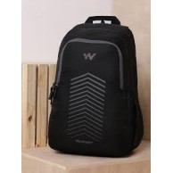 Large 38 L Laptop Backpack Swipe  (Black)