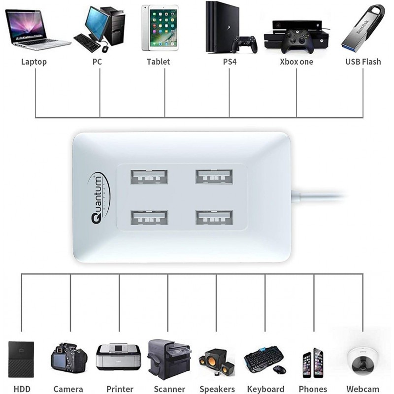 Quantum QHM6633 4-Port Hi-Speed USB Hub (Multicolor)