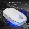 Acer Bubble Wireless Mouse AMR100 | 2.4GHz Silent Click | 1600 DPI | Ergonomic | AA Battery | Win8/10/11 | Compact Lightweight Design | Color: White/Grey