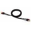 AmazonBasics 1/2-Male to 2-Male RCA Audio interconnects - 8 feet, 2-Male to 2-Male