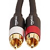 AmazonBasics 1/2-Male to 2-Male RCA Audio interconnects - 8 feet, 2-Male to 2-Male