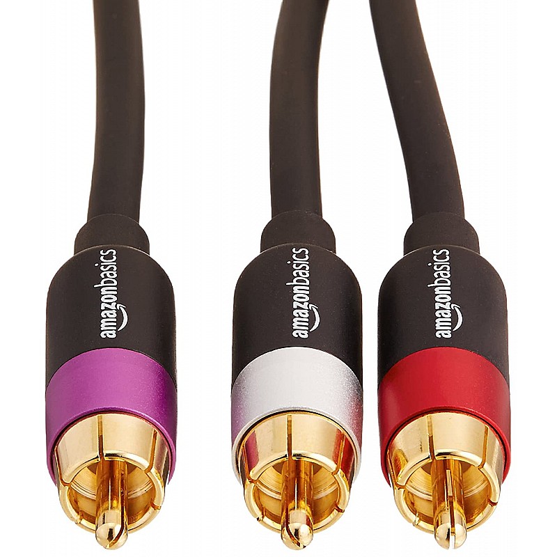 AmazonBasics 1/2-Male to 2-Male RCA Audio interconnects - 8 feet, 2-Male to 2-Male