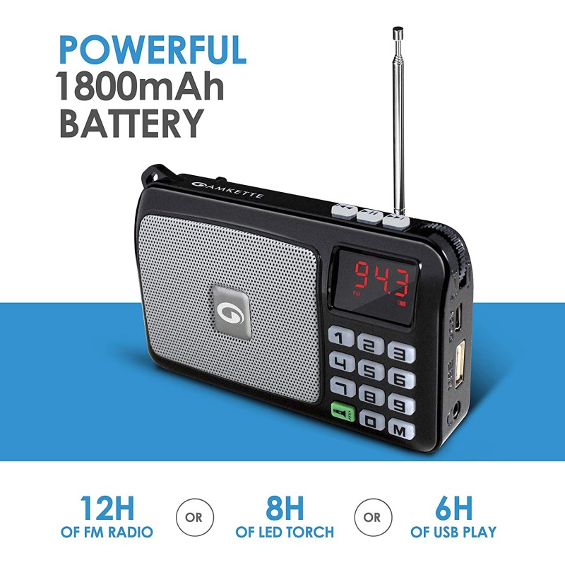 Amkette Pocket FM Portable Multimedia Speaker with USB, SD Card, Clock, and Powerful Torch