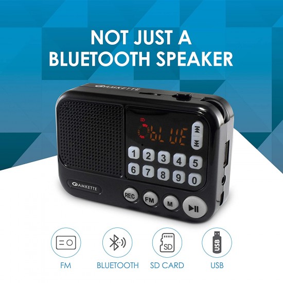 Amkette Pocket FM Portable Multimedia Speaker with USB, SD Card, Clock, and Powerful Torch