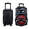 Ant Audio Rock 1000 Trolley Party Speaker with Karaoke with FM Radio, Micro SD Card, USB, Wired & Wireless Mic Subwoofer