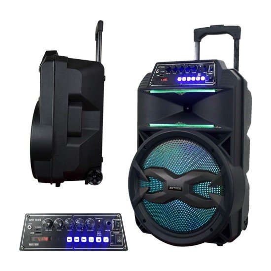 Ant Audio Rock 1000 Trolley Party Speaker with Karaoke with FM Radio, Micro SD Card, USB, Wired & Wireless Mic Subwoofer