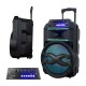 Ant Audio Rock 1000 Trolley Party Speaker with Karaoke with FM Radio, Micro SD Card, USB, Wired & Wireless Mic Subwoofer