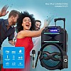 Ant Audio Rock 1000 Trolley Party Speaker with Karaoke with FM Radio, Micro SD Card, USB, Wired & Wireless Mic Subwoofer