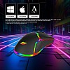 Ant Value GM1001 USB Wired Gaming Mouse,6 Adjustable 12800 DPI Computer Mouse,Optical Sensor 13 RGB Mouse with software and 6 Programmable Buttons,Ergonomic PC Gaming Wired Mouse for Laptop/PC - Black