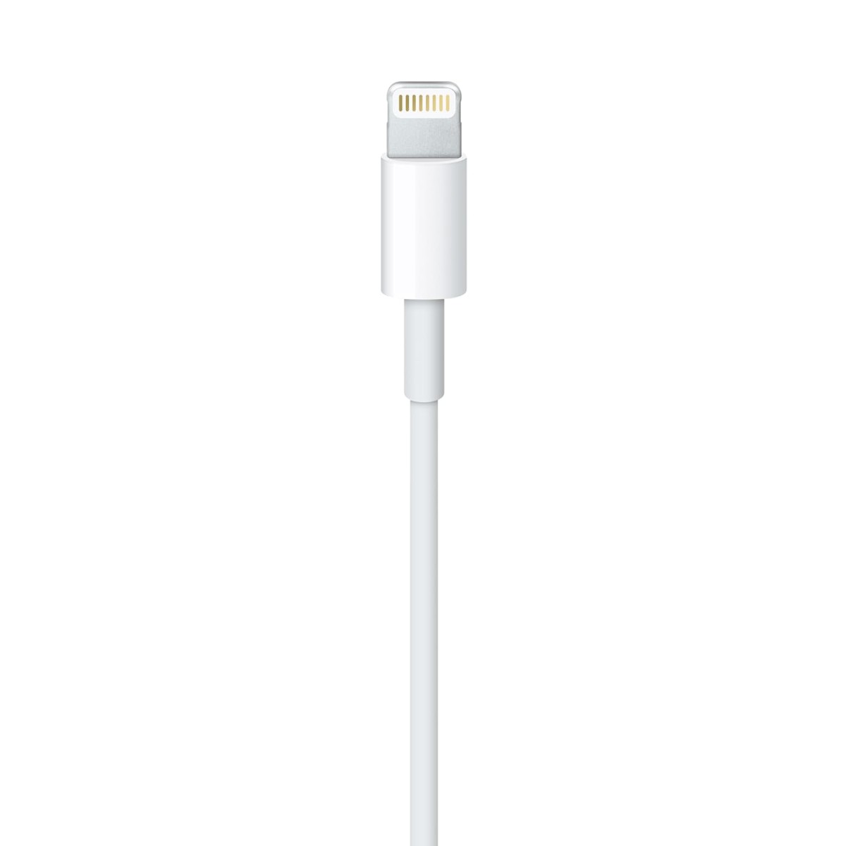 Apple Lightning to USB Cable (1m) MUQW3ZM/A Apple Lightning to USB Cable (1m) MUQW3ZM/A