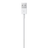 Apple Lightning to USB Cable (1m) MUQW3ZM/A Apple Lightning to USB Cable (1m) MUQW3ZM/A