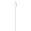 Apple USB-C to Lightning Cable (1m) Apple USB-C to Lightning Cable (1m) 