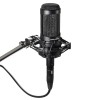 Audio-Technica AT2035 Cardioid Condenser Microphone, Perfect for Studio, Podcasting & Streaming- Black