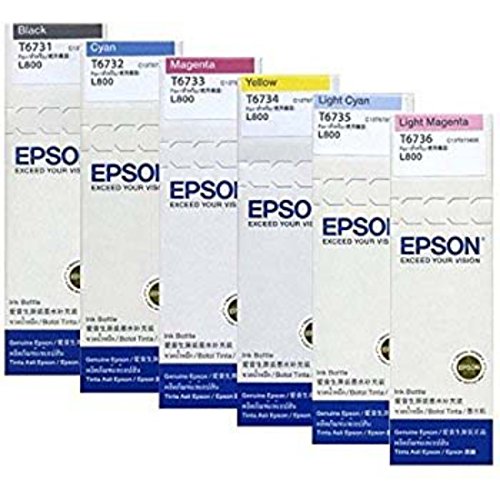 Epson T6731 Ink Bottle (Black)