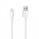 Apple MD819ZM/A 6.56-Feet Lightning to USB Cable - White