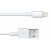 Apple MD819ZM/A 6.56-Feet Lightning to USB Cable - White