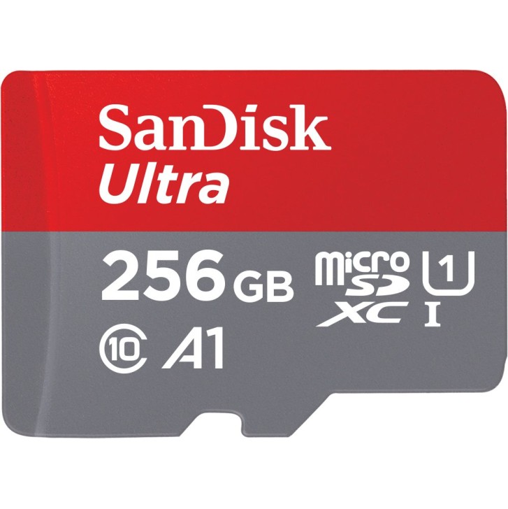 SanDisk 256GB Class 10 MicroSD Card with Adapter (SDSQUAR-256G-GN6MA) - SanDisk 256GB Class 10 MicroSD Card with Adapter (SDSQUAR-256G-GN6MA) -
