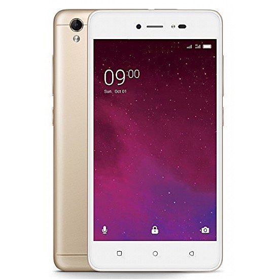 Lava Z60 (Gold)