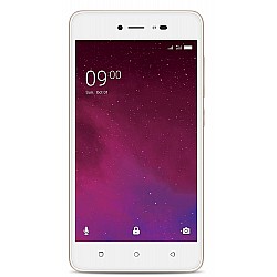 Lava Z60 (Gold)