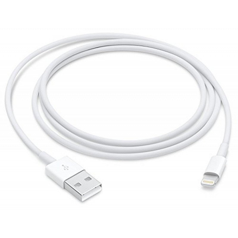 Apple Lightning to USB Cable (1 m)