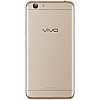 Vivo Y53i (Crown Gold, 2 GB RAM,16 GB Storage) Refurbished