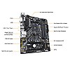 Gigabyte B450M DS3H (AMD Ryzen AM4/M.2/HMDI/DVI/USB 3.1/DDR4/Micro ATX/Motherboard)