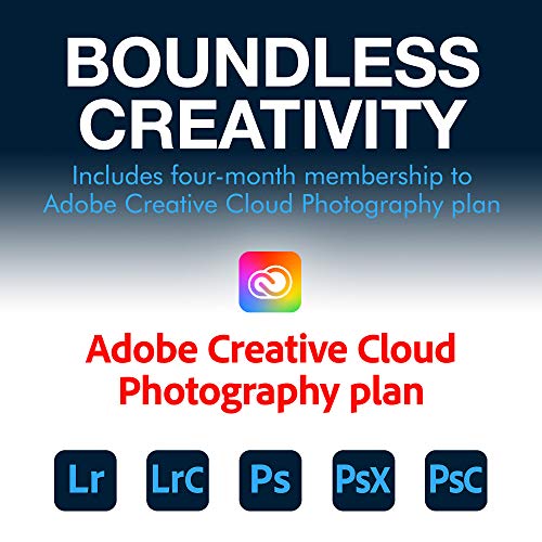 Seagate Backup Plus Portable 5 TB External HDD – USB 3.0 for Windows STHP5000400