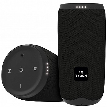 TYOON S22 16 Watt Wireless Bluetooth Portable Speaker (Black)