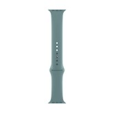 Apple Watch Sport Band (44mm) - Cactus - Regular 