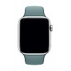 Apple Watch Sport Band (44mm) - Cactus - Regular