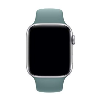 Apple Watch Sport Band (44mm) - Cactus - Regular 