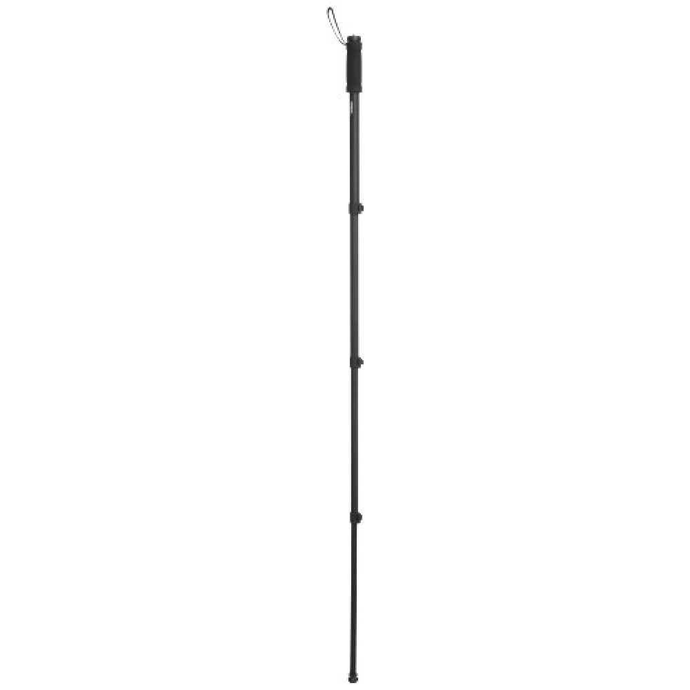 Buy Amazon Basics AmazonBasics Camera Monopod - Pack of 2 170.18cm Black