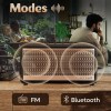 Boult Newly Launched Retroamp Z30 with 30W Bluetooth Speaker with Dual Dynamic Drivers, 10Hrs Playtime, Rugged Leather Body, Type-C Charging, AUX/USB Modes, BT 5.3 Portable Speaker (Vintage Gold)