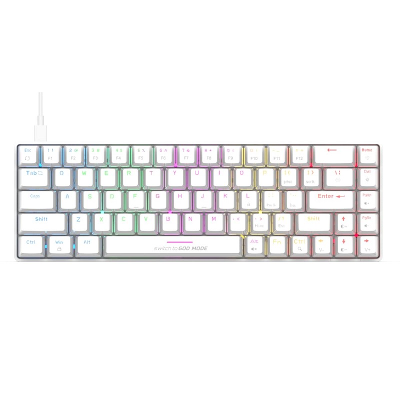 Cosmic Byte CB-GK-36 Artemis 68Key Per Key RGB Wired Mechanical Keyboard with Outemu Swappable Blue Switches and Software (White) Cosmic Byte CB-GK-36 Artemis 68Key Per Key RGB Wired Mechanical Keyboard with Outemu Swappable Blue Switches and Software (White)
