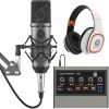 DIGIMORE Professional Condenser Microphone Kit with Audio Interface for Podcasting Live Streaming Singing PC Mobile YouTube (D-410/400)
