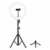 DIGITEK® (DRL-14C) Professional (31cm) Dual Temperature LED Ring Light with Tripod Stand & Mini Tripod for YouTube, Photo-Shoot, Video Shoot