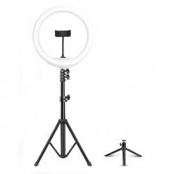 DIGITEK® (DRL-14C) Professional (31cm) Dual Temperature LED Ring Light with Tripod Stand & Mini Tripod for YouTube, Photo-Shoot, Video Shoot
