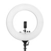 DIGITEK® (DRL-18 RGB) 18 Inch Multi-Color LED Ring Light with Remote Control & Smartphone Holder - Adjustable Color Temperature & Brightness, 360° Adjustment - Video & Photoshoot (Without Stand)