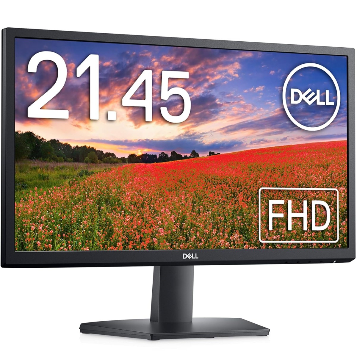 Dell SE2225H 22" (55.88 cm) FHD Monitor 1920x1080 Pixels, Refresh Rate 60Hz, VA Panel, 5-Year warranty, Brightness 250 cd/m², Contrast Ratio 3000:1, Ports: 1 x HDMI 1 x VGA, Adjst Tilt |Black