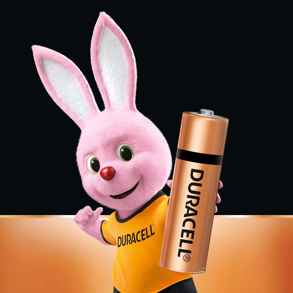 Duracell Alkaline AA Battery, Pack of 20, Everyday Devices, Clock, Toy, Remote