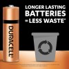 Duracell Alkaline AA Battery, Pack of 20, Everyday Devices, Clock, Toy, Remote